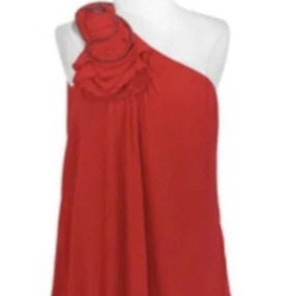 BCBG Flower Dress - Picture 2 of 6